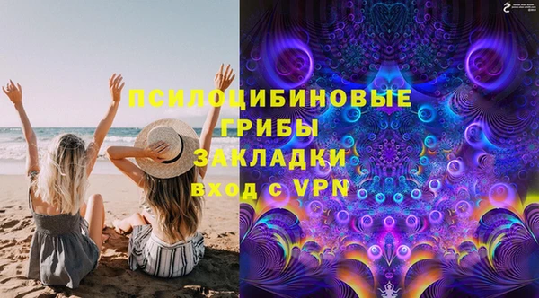 амф Богданович